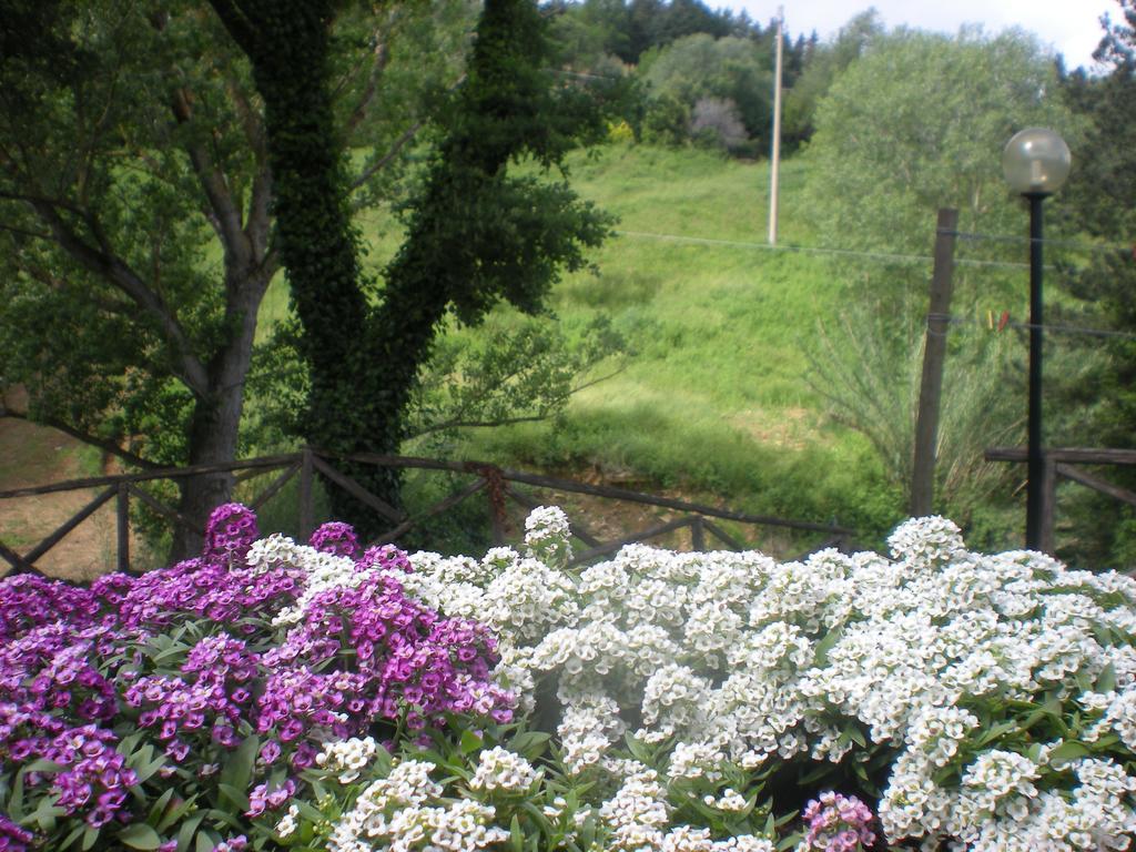 Agriturismo La Baroncella Монтемерано Номер фото